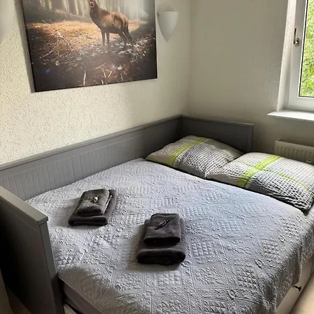 Daire Lakeview Schluchsee