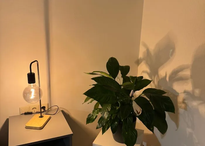 Lakeview アパート *